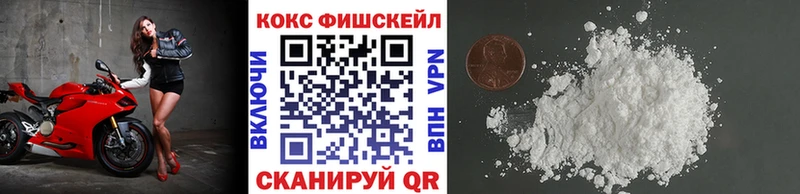 Кокаин FishScale  Купить закладки  Эртиль 
