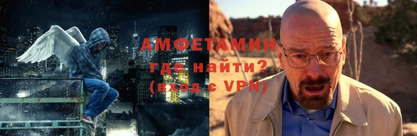 шишки Пересвет
