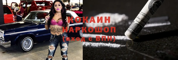 шишки Пересвет