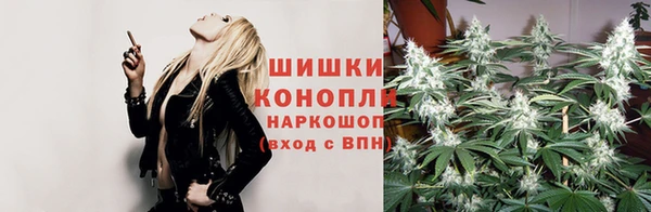 шишки Пересвет
