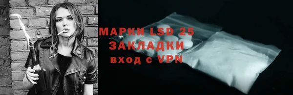 шишки Пересвет
