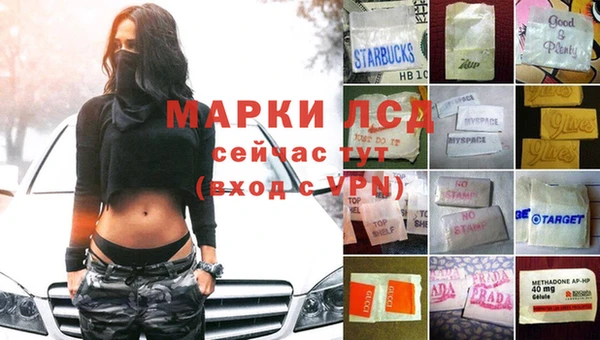 шишки Пересвет