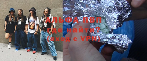 шишки Пересвет