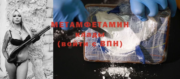 шишки Пересвет