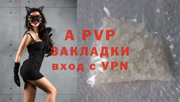 шишки Пересвет