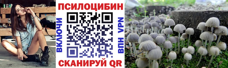 Галлюциногенные грибы Cubensis Эртиль